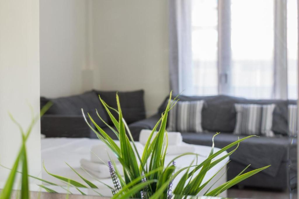 Lovely Studio Apartment For 2 Ppl In Athens Exterior photo